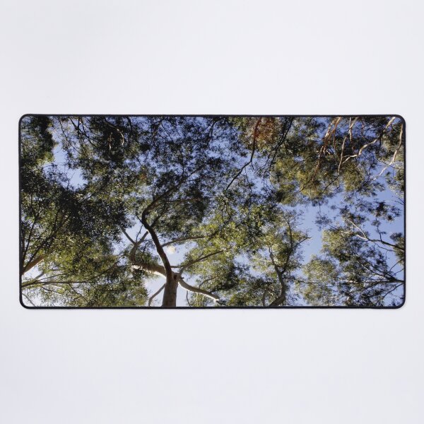 Item preview, Eucalyptus Tree Canopy Abstract Photography designed and sold by taiche.