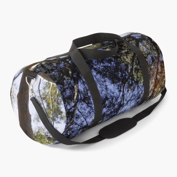 Item preview, Eucalyptus Tree Canopy Abstract Photography designed and sold by taiche.