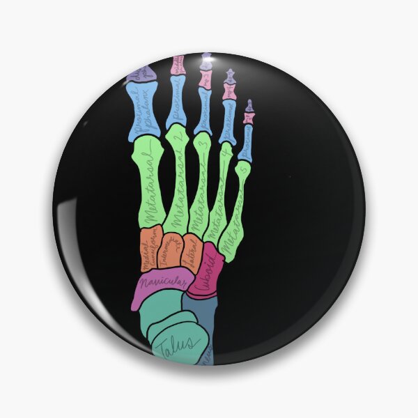 Item preview, Foot Anatomy Labeled designed and sold by jasleenM.