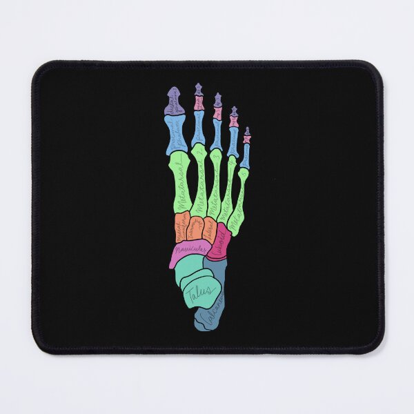 Item preview, Foot Anatomy Labeled designed and sold by jasleenM.