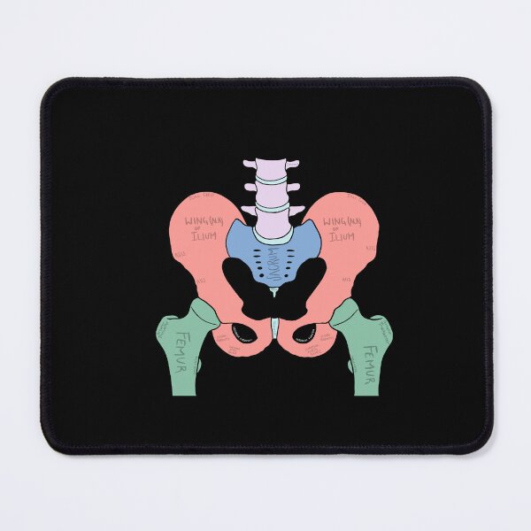 Item preview, Pelvis designed and sold by jasleenM.