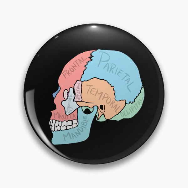 Item preview, Skull Anatomy labelled designed and sold by jasleenM.