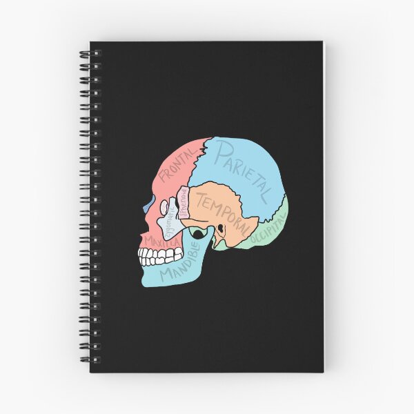 Item preview, Skull Anatomy labelled designed and sold by jasleenM.