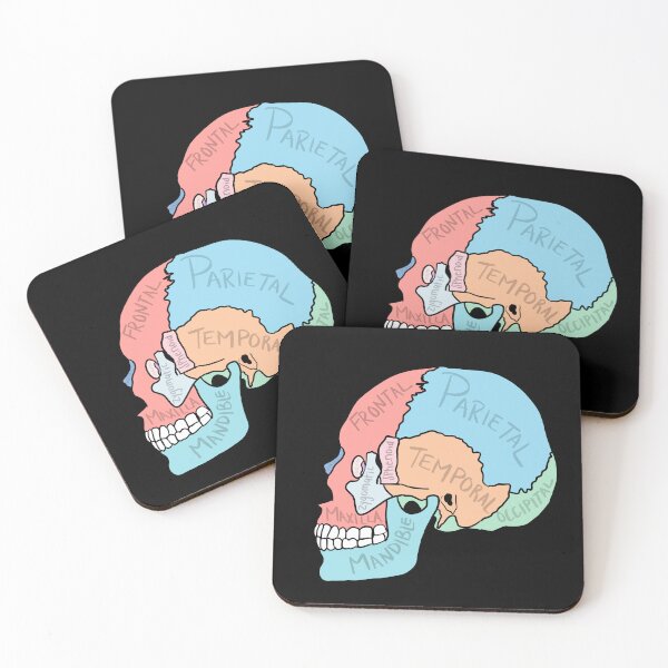Item preview, Skull Anatomy labelled designed and sold by jasleenM.