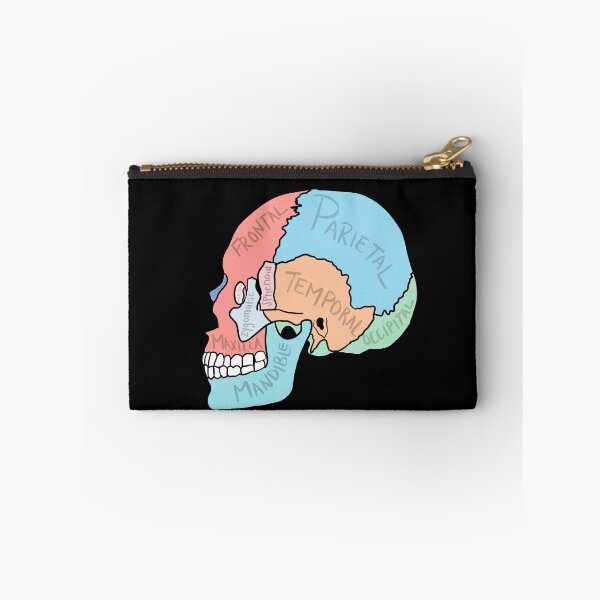 Item preview, Skull Anatomy labelled designed and sold by jasleenM.