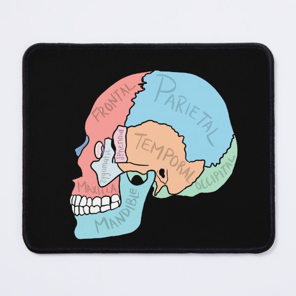 Item preview, Skull Anatomy labelled designed and sold by jasleenM.