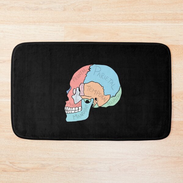 Item preview, Skull Anatomy labelled designed and sold by jasleenM.