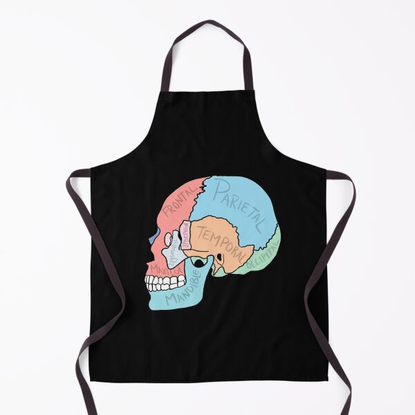 Item preview, Skull Anatomy labelled designed and sold by jasleenM.