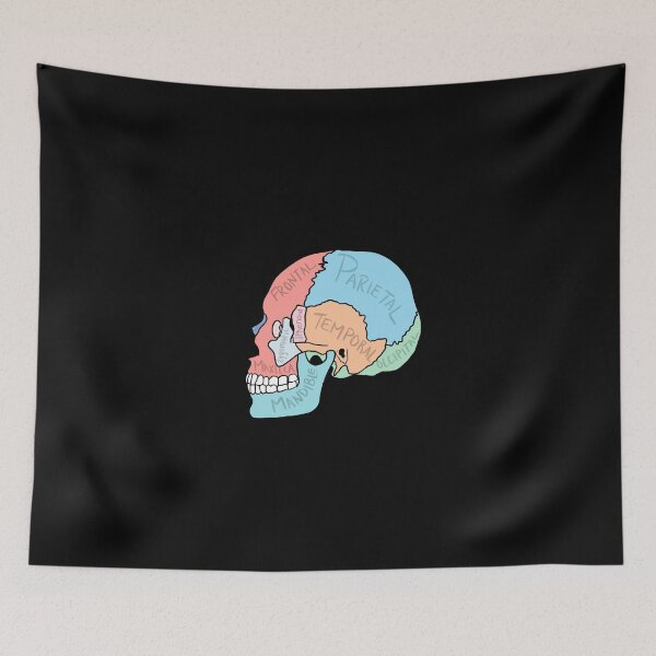 Item preview, Skull Anatomy labelled designed and sold by jasleenM.