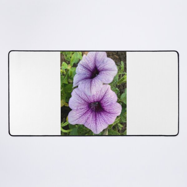 Item preview, Purple petunias designed and sold by junebugamch.