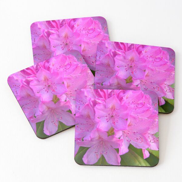 Item preview, Rhody florece en primavera designed and sold by vernonplatt.
