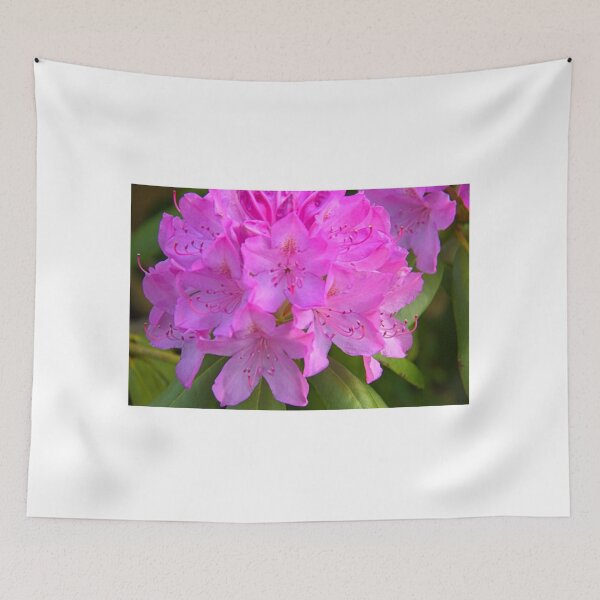 Item preview, Rhody florece en primavera designed and sold by vernonplatt.