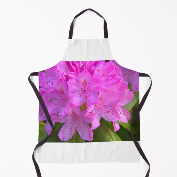Aperçu de l'œuvre Rhody Blossoms au printemps créée et vendue par vernonplatt.