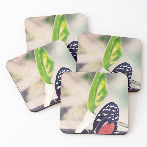 Item preview, No Sensibility  designed and sold by Denise Abé.