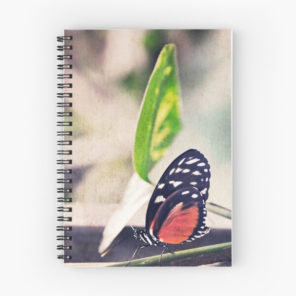 Item preview, No Sensibility  designed and sold by Denise Abé.