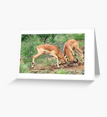 ENCOUNTER FOR DOMINANCE Greeting Card