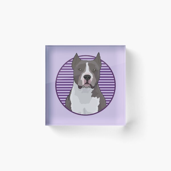 Item preview, Pitbull dog w/ Purple stripped circle designed and sold by AdoptNFTPets.