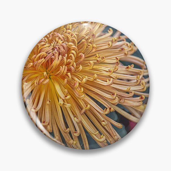 Item preview, USA. Pennsylvania. Longwood Gardens. Chrysanthemum. designed and sold by vadim19.