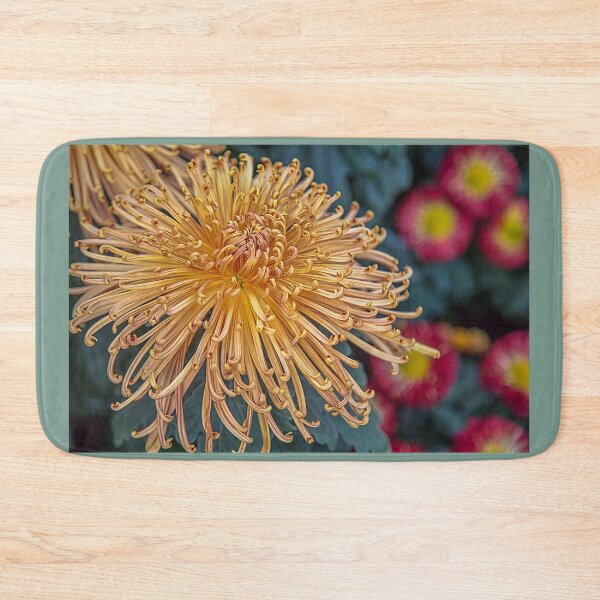 Item preview, USA. Pennsylvania. Longwood Gardens. Chrysanthemum. designed and sold by vadim19.