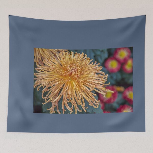 Item preview, USA. Pennsylvania. Longwood Gardens. Chrysanthemum. designed and sold by vadim19.