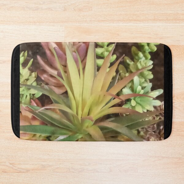 Item preview, SEDUM PALMERI GRAPTOPETALUM designed and sold by PCCARES.