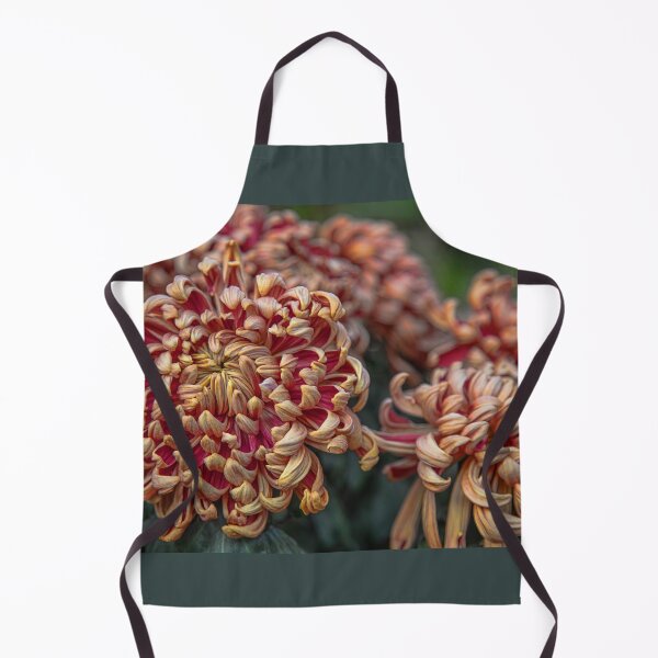 Item preview, USA. Pennsylvania. Longwood Gardens. Chrysanthemums. designed and sold by vadim19.
