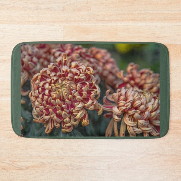 Item preview, USA. Pennsylvania. Longwood Gardens. Chrysanthemums. designed and sold by vadim19.