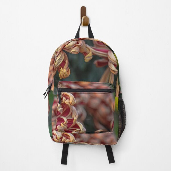 Item preview, USA. Pennsylvania. Longwood Gardens. Chrysanthemums. designed and sold by vadim19.