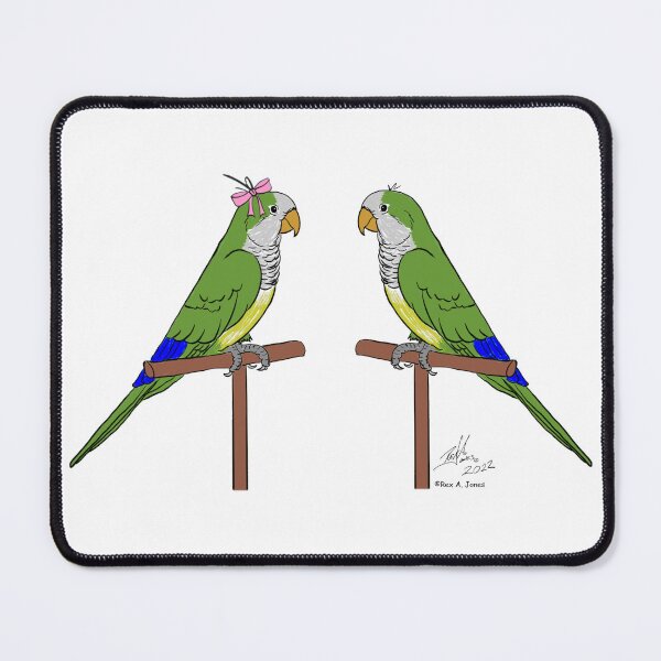 Item preview, Crazy Bird Person with Quaker Parrots designed and sold by Laughing Parrot Studio.