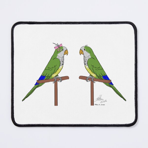 Item preview, Crazy Bird Man with Quaker Parrots designed and sold by Laughing Parrot Studio.