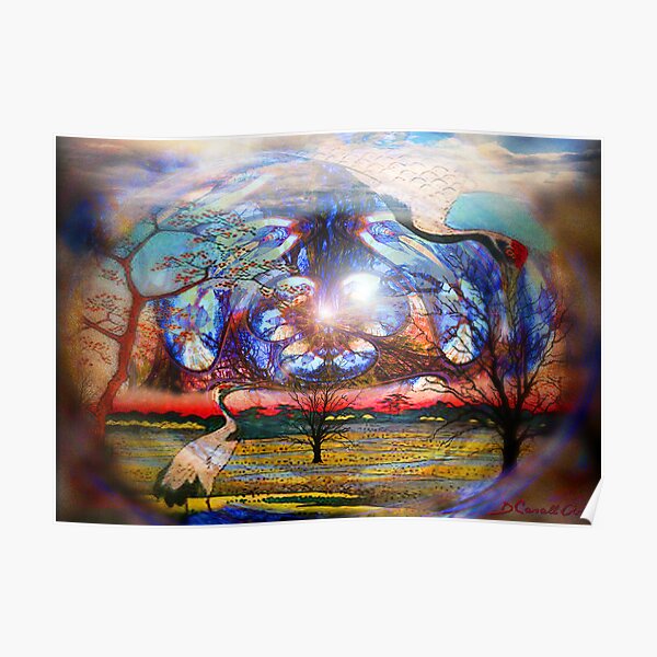 Through a magician's eye Poster
