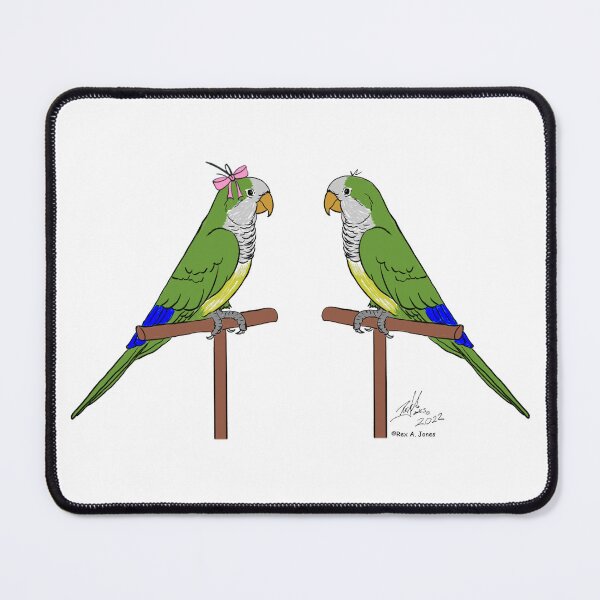Item preview, Crazy Bird Lady with Quaker Parrots designed and sold by Laughing Parrot Studio.