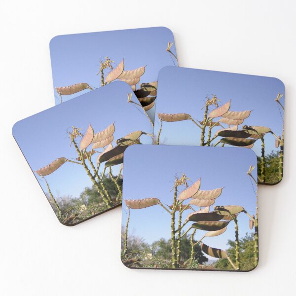 Item preview, Seed Pods designed and sold by Shulie1.