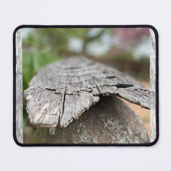 Item preview, Fractured Tree designed and sold by acorn2oak.