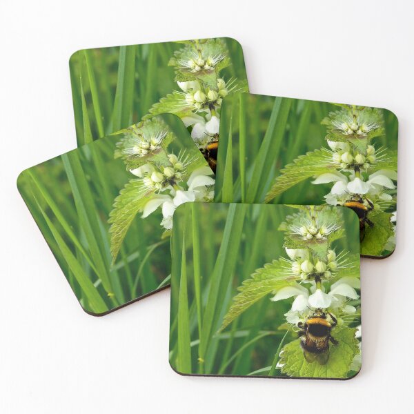 Item preview, Two stingers! designed and sold by Violaman.