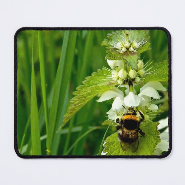 Item preview, Two stingers! designed and sold by Violaman.