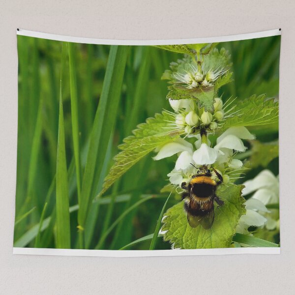 Item preview, Two stingers! designed and sold by Violaman.