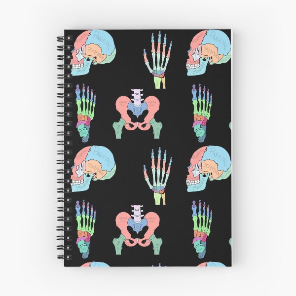 Item preview, Labelled Anatomy Set designed and sold by jasleenM.