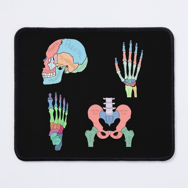 Item preview, Labelled Anatomy Set designed and sold by jasleenM.