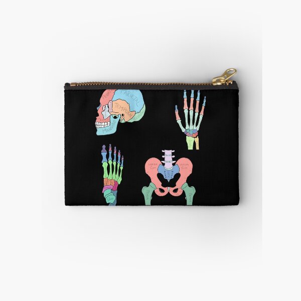 Item preview, Labelled Anatomy Set designed and sold by jasleenM.