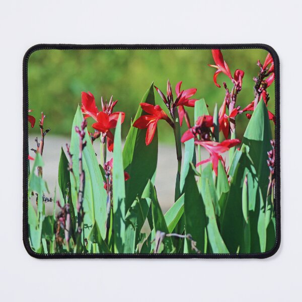Item preview, Never Wither  designed and sold by Michiale.