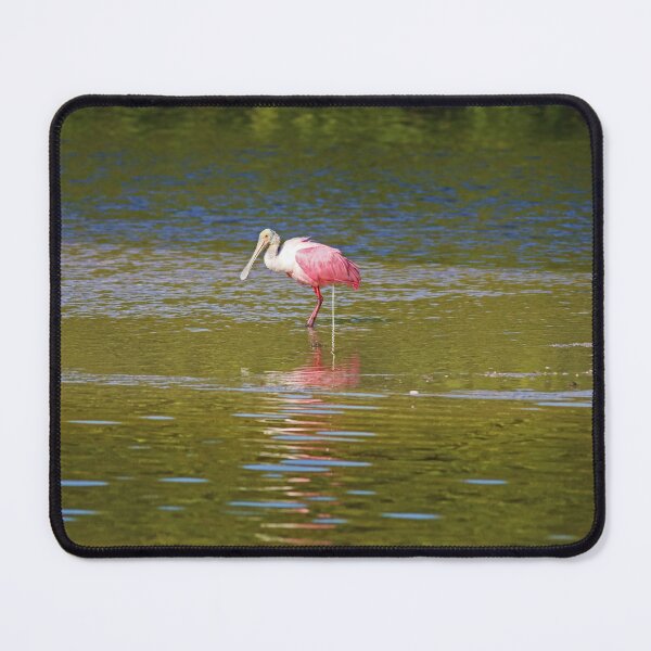 Item preview, Preparing to Fly designed and sold by Michiale.