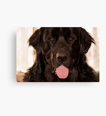 Ruh Roh Canvas Print