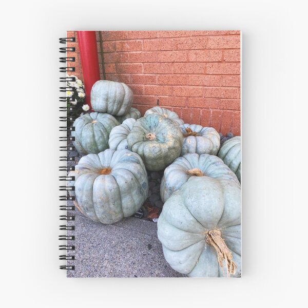 Item preview, Blue pumpkins designed and sold by houseplantbabe.