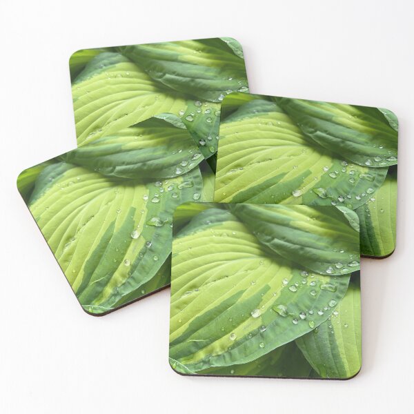 Item preview, Hosta Water Drops designed and sold by Asaha17.