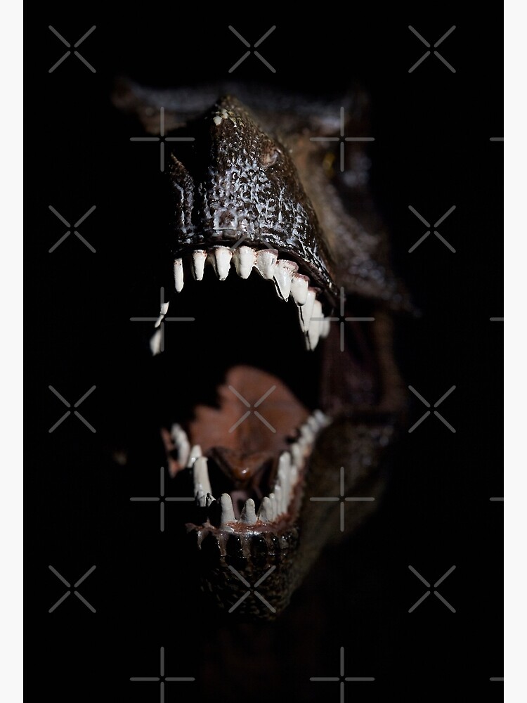 "Be quiet" Poster for Sale by whitefirestorm | Redbubble