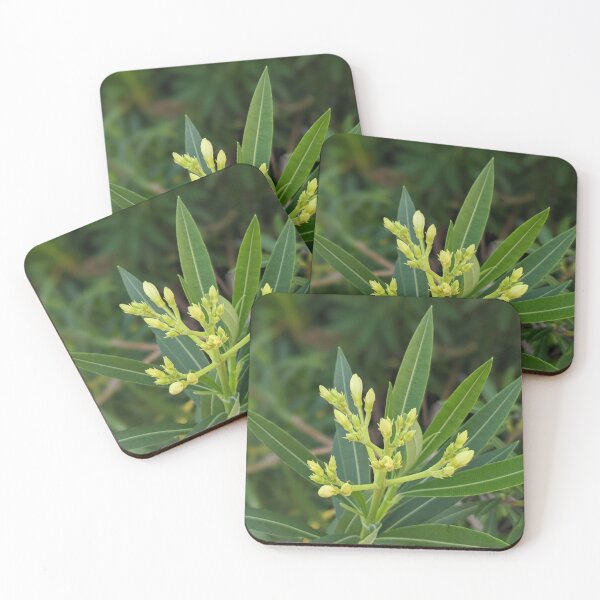 Item preview, Green Flower Buds designed and sold by AustaArt.