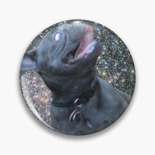 Item preview, Frenchie Lost in Space designed and sold by Rebecca Ryan.