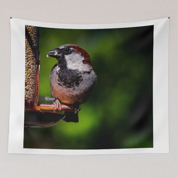 Item preview, A House Sparrow Perched On Bird Feeder designed and sold by FreelanceJim.