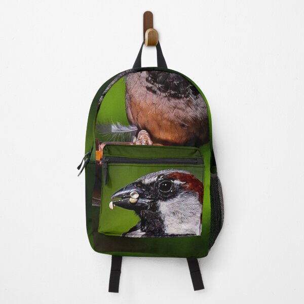 Item preview, A House Sparrow Perched On Bird Feeder designed and sold by FreelanceJim.